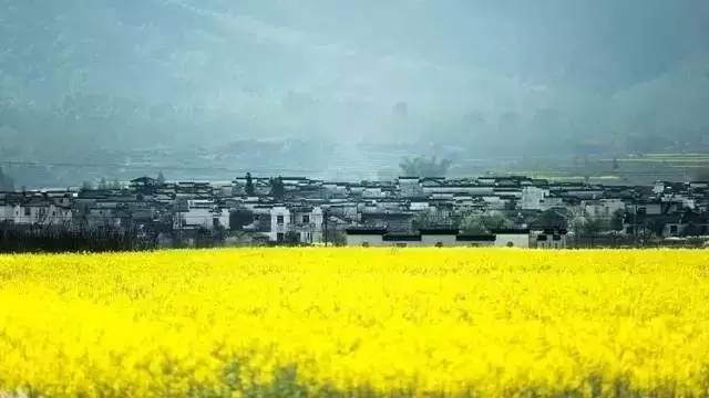 @liushuquan @liushuquan